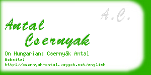 antal csernyak business card