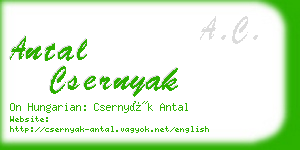 antal csernyak business card